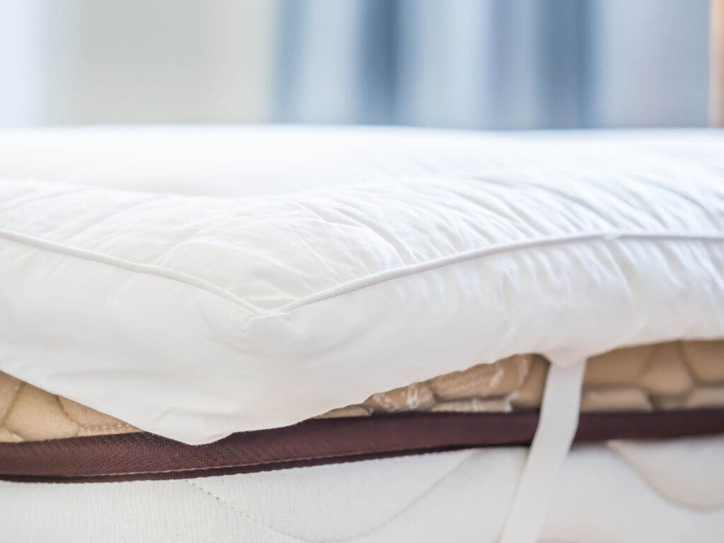 8 Signs You Have Bed Bugs in Your Home