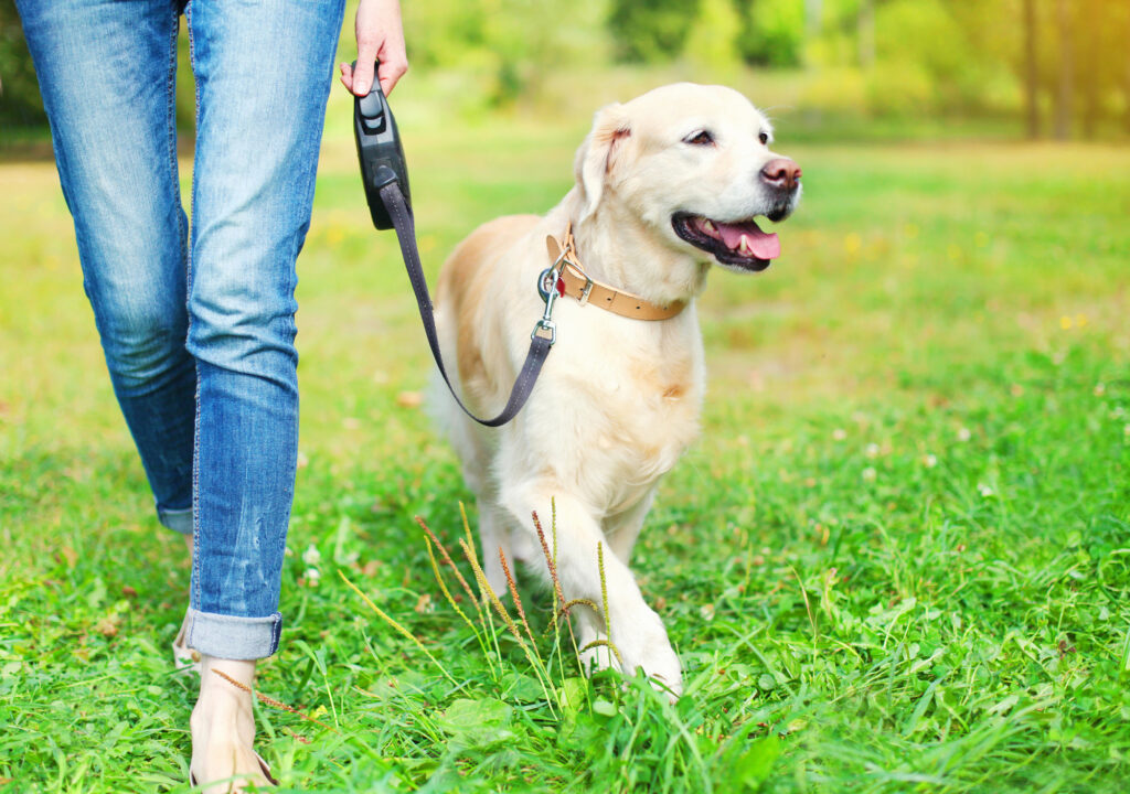 6 Ways a Pet Can Help Someone With a Chronic Mental Illness