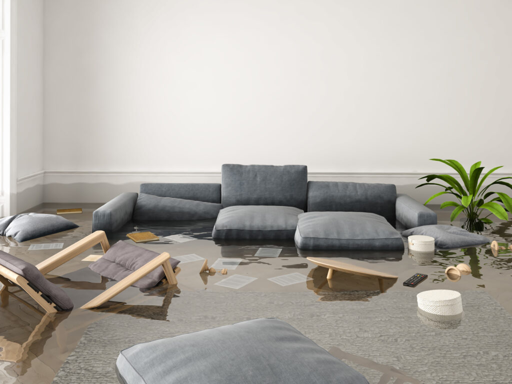 Flooded Basement Cleanup: How Much Does It Cost?